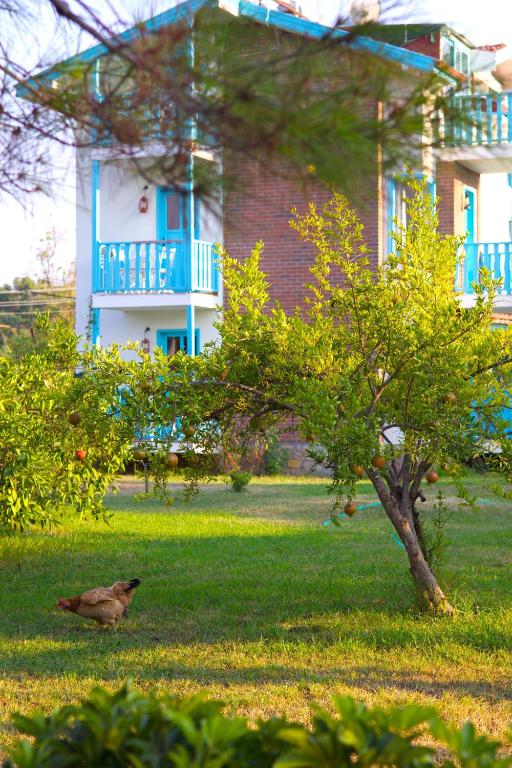 Vrt ispred objekta Yonca Lodge