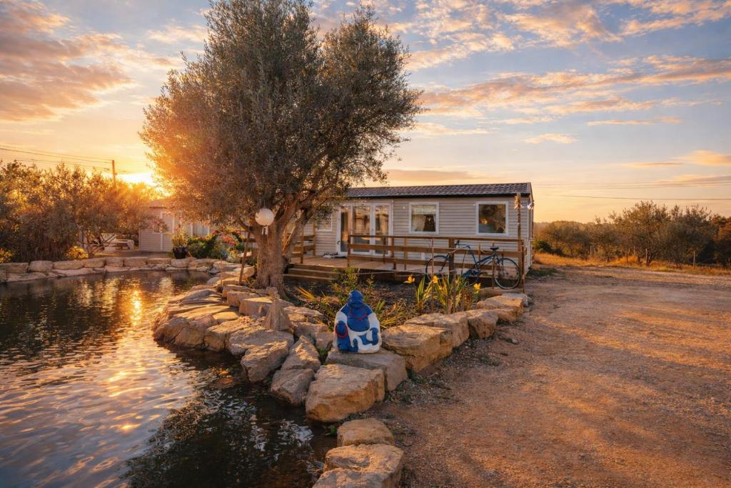 a tiny house with a pond in front of it at Sunset Lagoon House in Lagoa