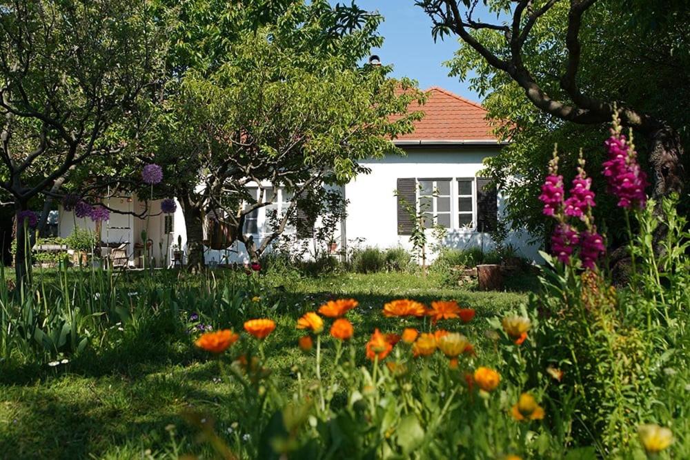 a garden with flowers in front of a house at Villa Old Almond in Balatonalmádi
