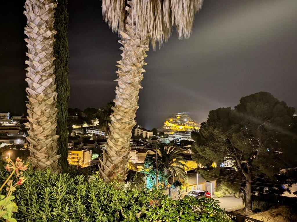 a view of a city at night with two palm trees at EVH-113 Casa Martina in Tossa de Mar