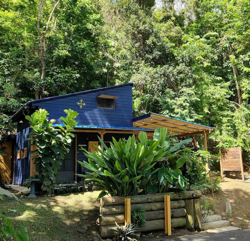 Tiny Cozy Mountain Cabin Peaceful Retreat in Cayey
