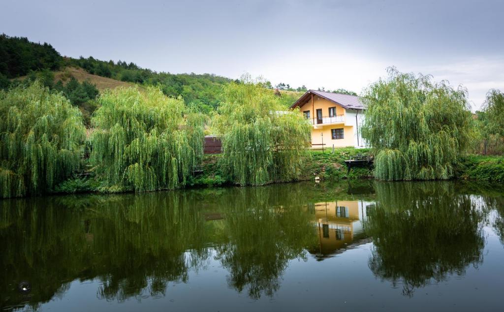 a house sitting next to a lake with trees at Ioska Boro in Mehadica