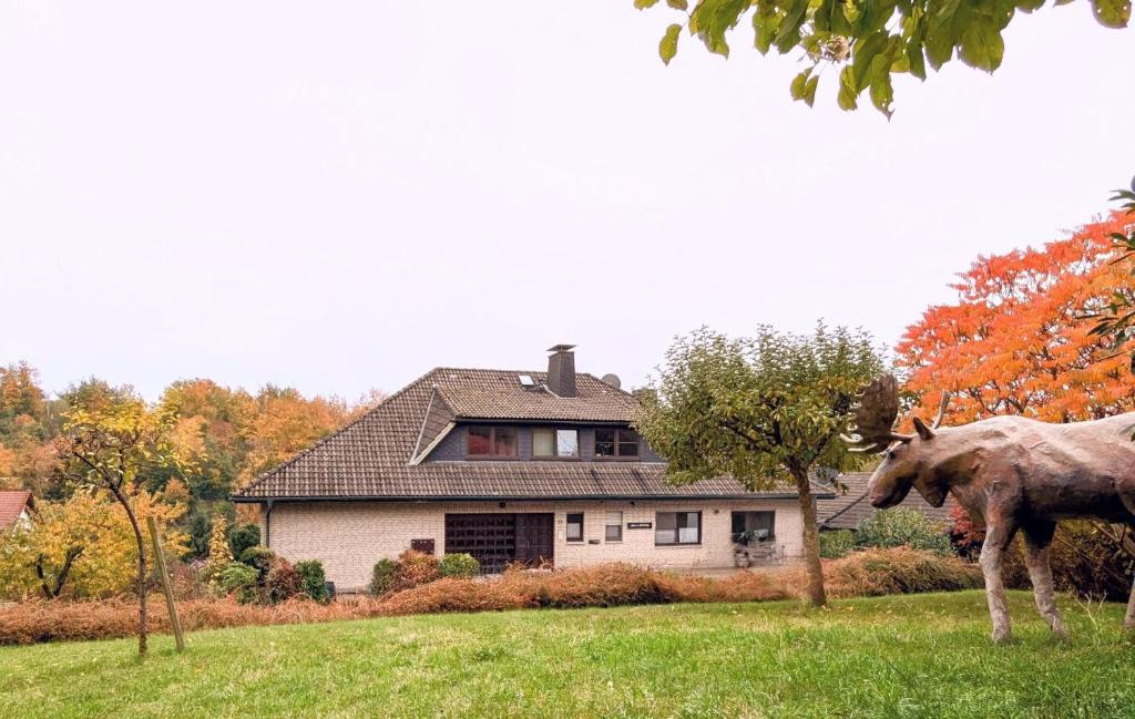 a cow standing in a field in front of a house at Haus Am Mühlenberg in Löhlbach