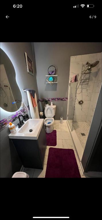 a bathroom with a sink and a toilet and a shower at Alaynah's Place in Brunswick