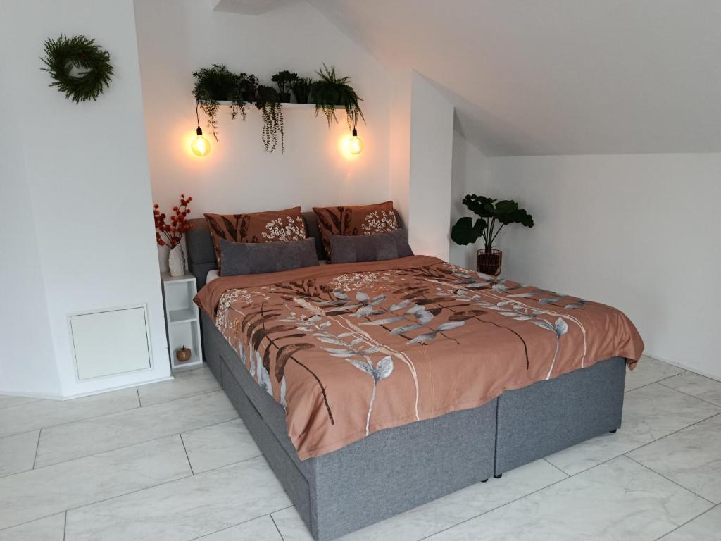a bedroom with a large bed in a room at Popas 26 in Nădlac