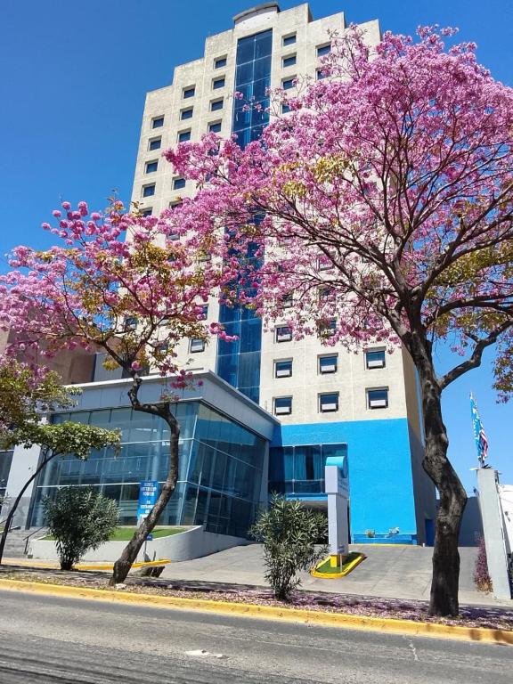 two trees with pink flowers in front of a building at Intercity Tower Hotels in San Pedro Sula