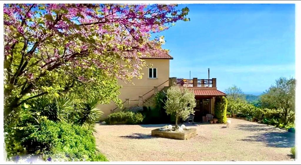 a house with a flowering tree in front of it at La Fonte e l Ulivo in Ripatransone