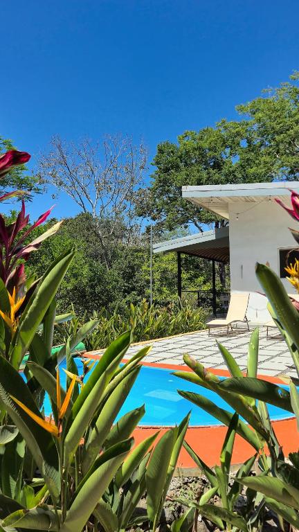 a swimming pool in front of a house at Villas Pura Vida - Guapinol in Río Negro