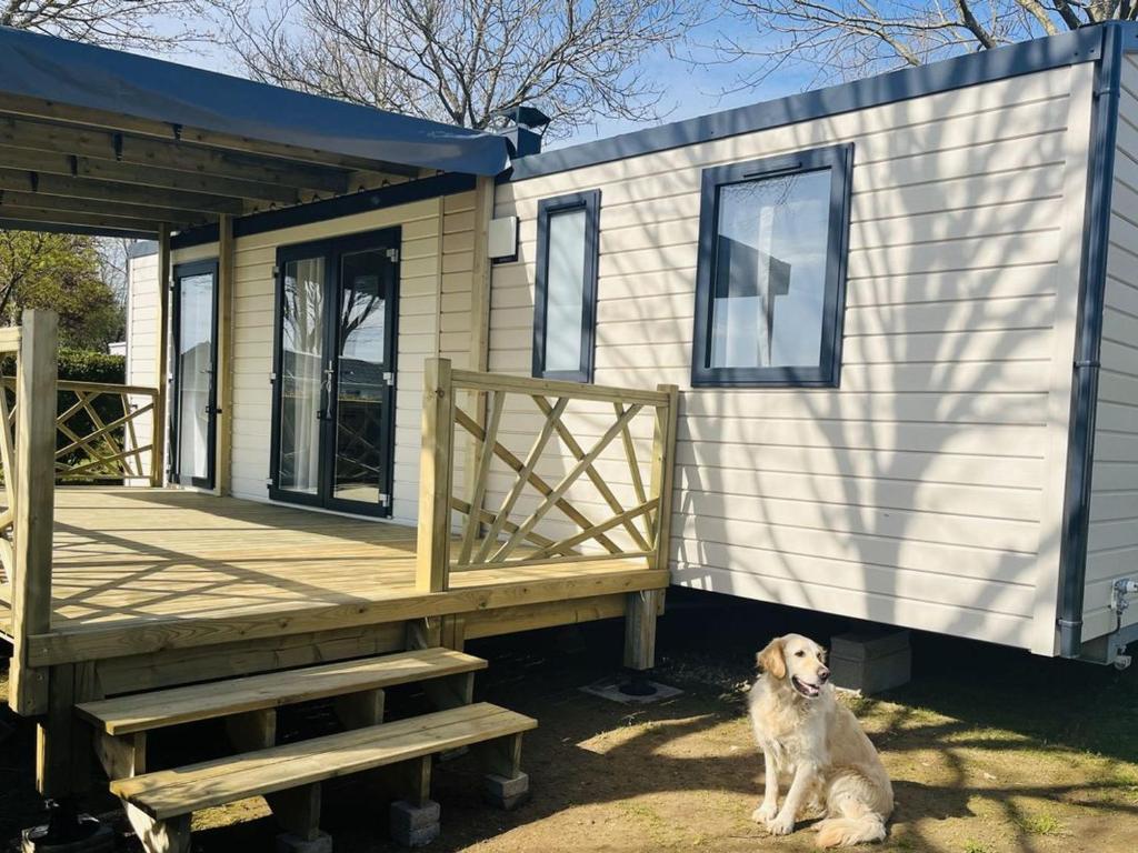 Mobil-home pour 6 personnes avec terrasse - API-1-52-1945