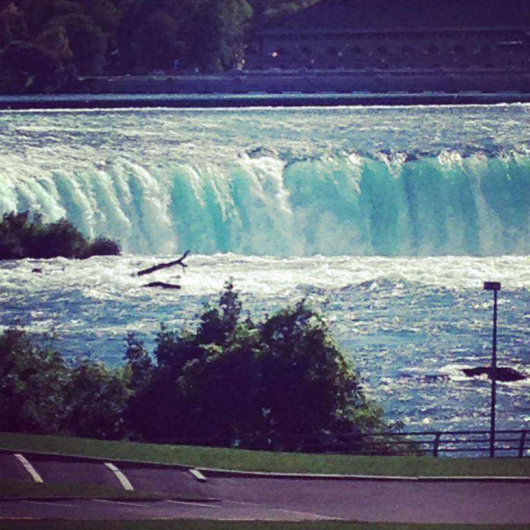 a bird in the water in front of a waterfall at Ambiance By The Falls B&B in Niagara Falls