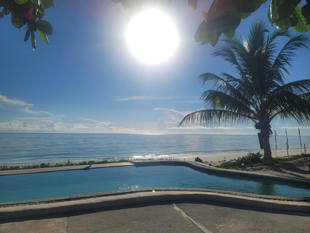 a swimming pool next to the beach with a palm tree at Lõst Soles Lodge in Jambiani