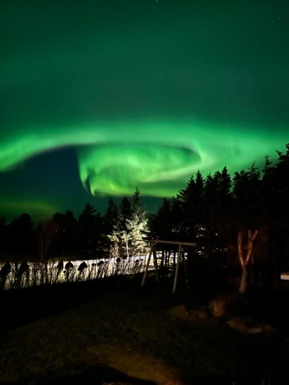 Flemsøy photo