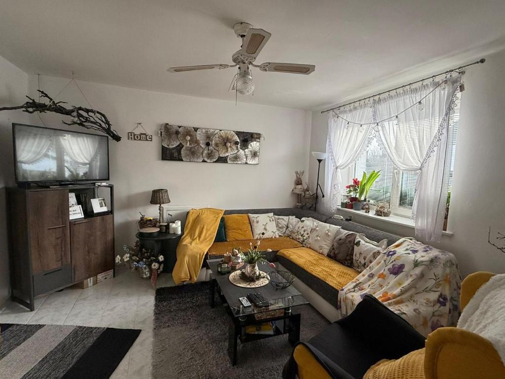 a living room with a couch and a tv at Ubytovanie Dana in Piešťany