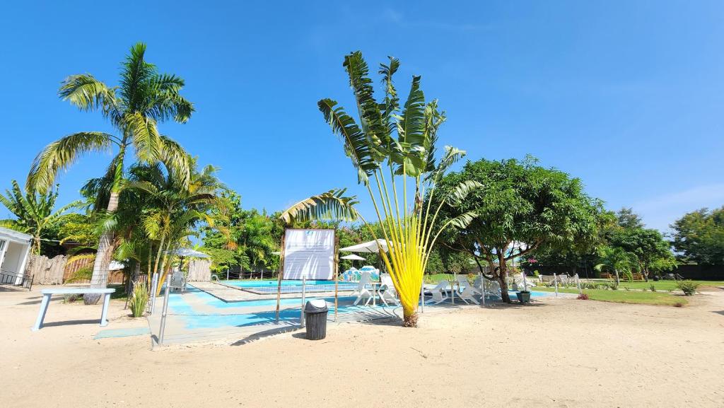 a palm tree on the beach near a pool at MaTemu Square in Mapinga