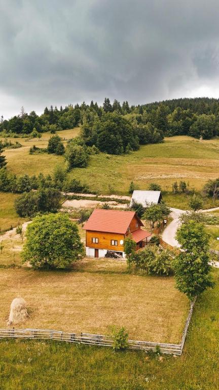 an aerial view of a house in a field at Apuseni Wood House in Mătişeşti