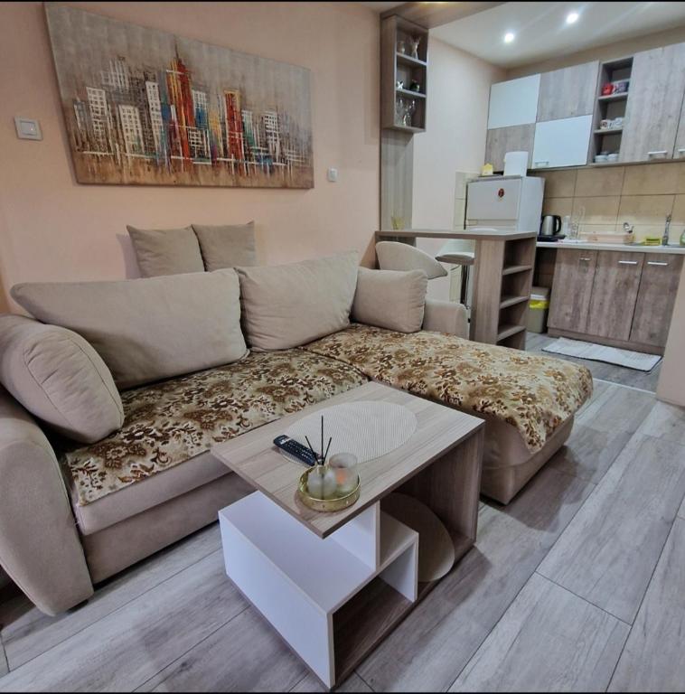 a living room with a couch and a table at Square Apartment in Paraćin