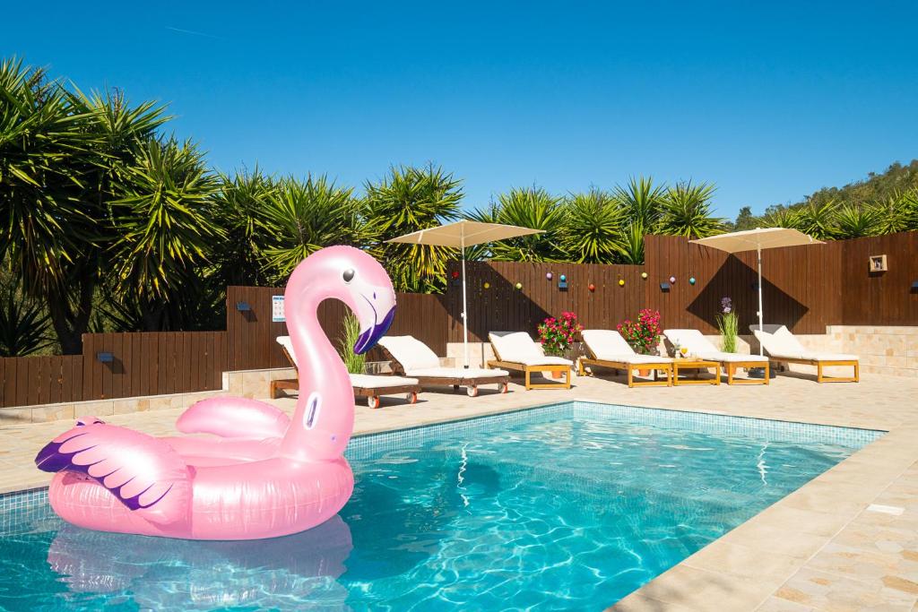 a pink swan in the water in a swimming pool at Luxe villa for 8 - Heated Pool -AC -BBQ Area - Patio - 160Mbps - Olives - Palm - vineyard in Santa Luzia
