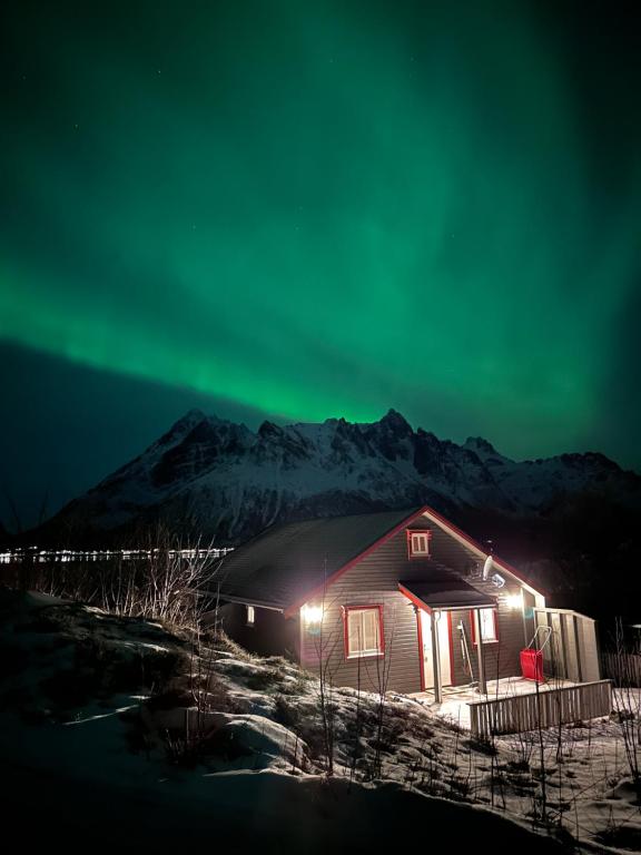 a cabin with the aurora in the sky at night at Sildpollnes Lodge in Vestpollen