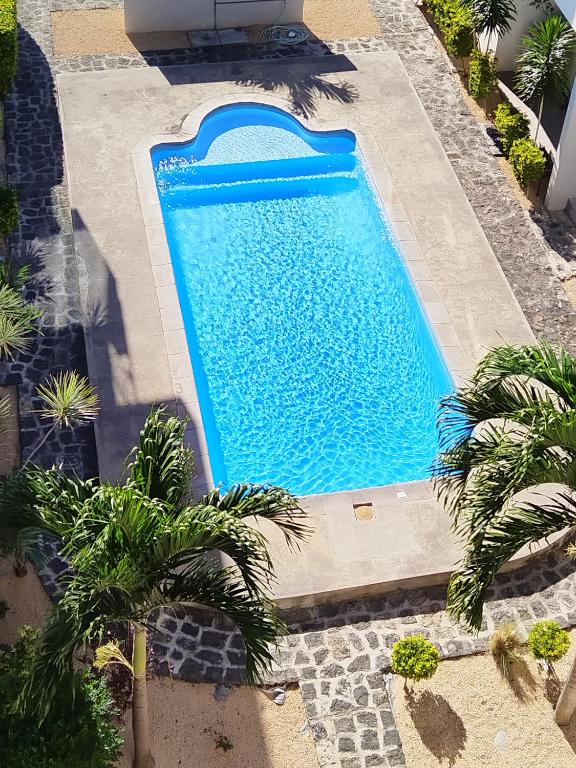 an overhead view of a swimming pool with palm trees at Morsky Vanek Apartment in Flic-en-Flac