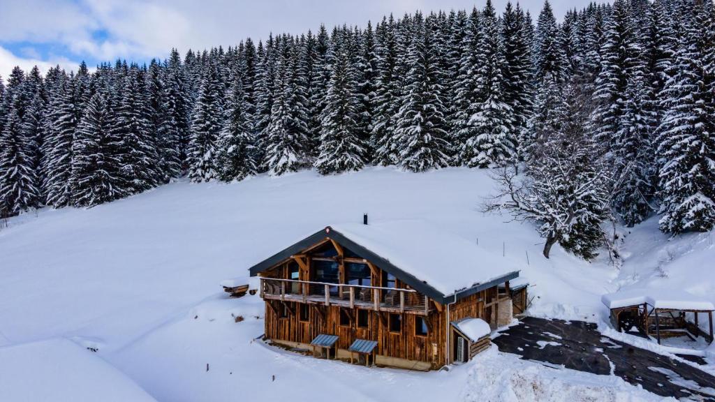 Ski Chalet B