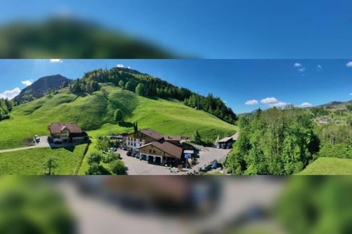 a view of a house in a green mountain at Wohnung in Reichenbach im Kandertal in Reichenbach