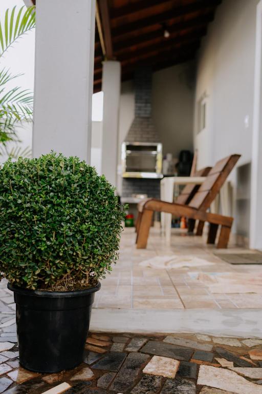 a plant in a black pot on a patio at Joia do Pepira in Brotas