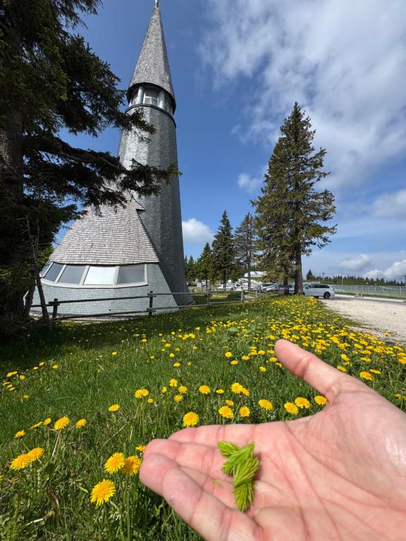 a hand holding a weed in front of a lighthouse at Rogla Gaber Studio in Zreče