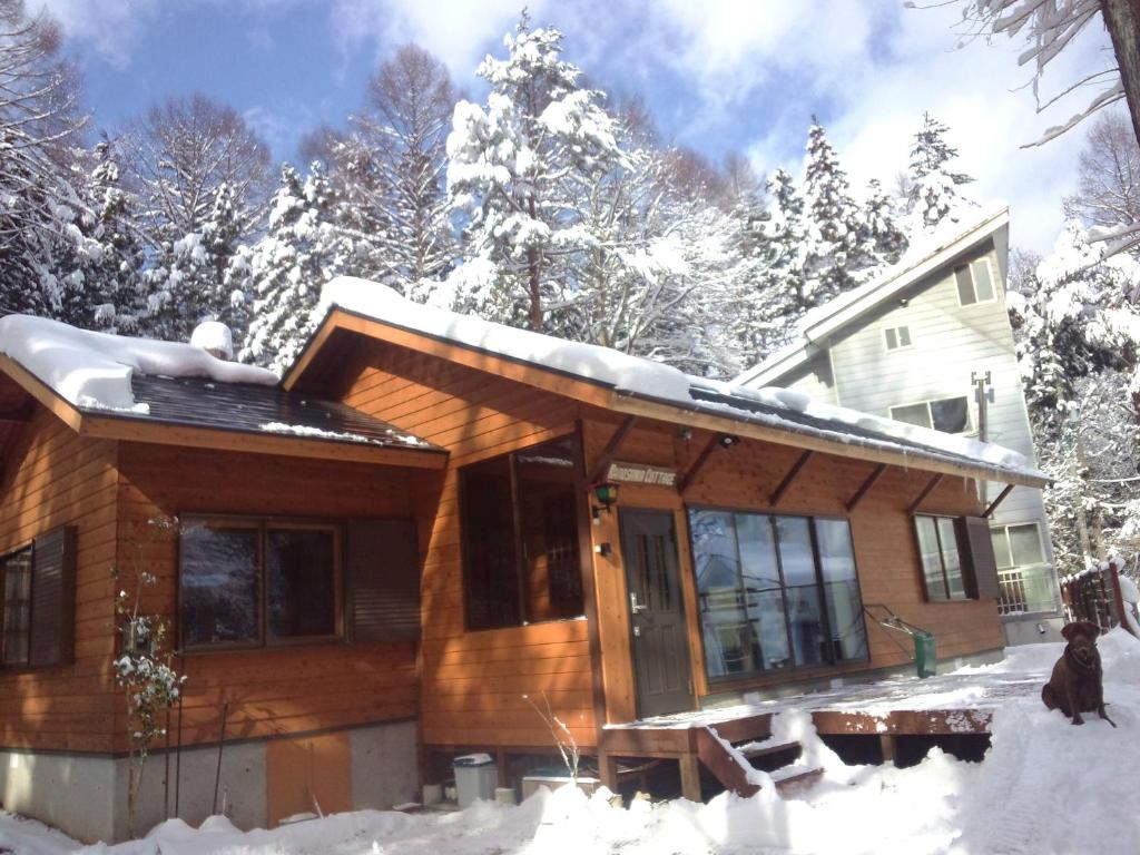 a cabin in the woods with snow on it at Kamoshika Cottage Hakuba in Hakuba