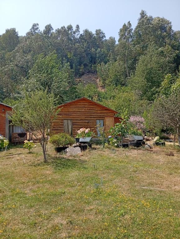 a log cabin with a picnic table in a yard at Cabañas Donde Nancy in Hornillos