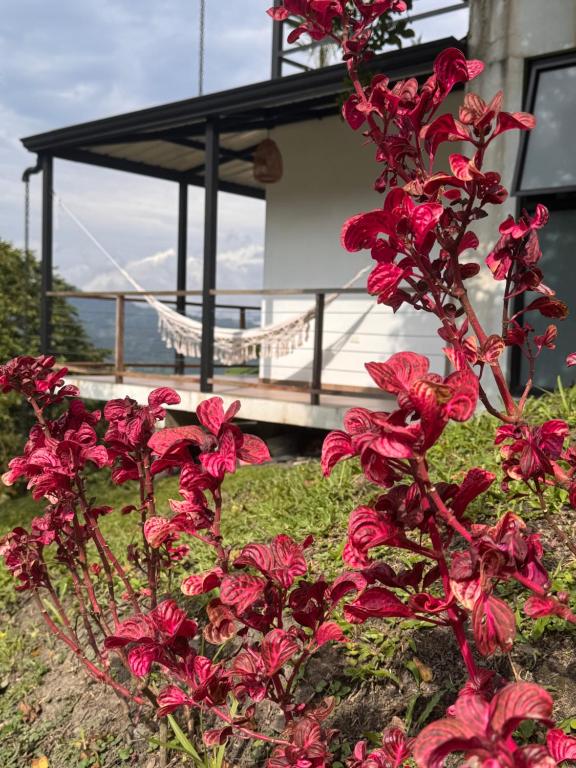 Cabañas Alondra - Hotel Boutique