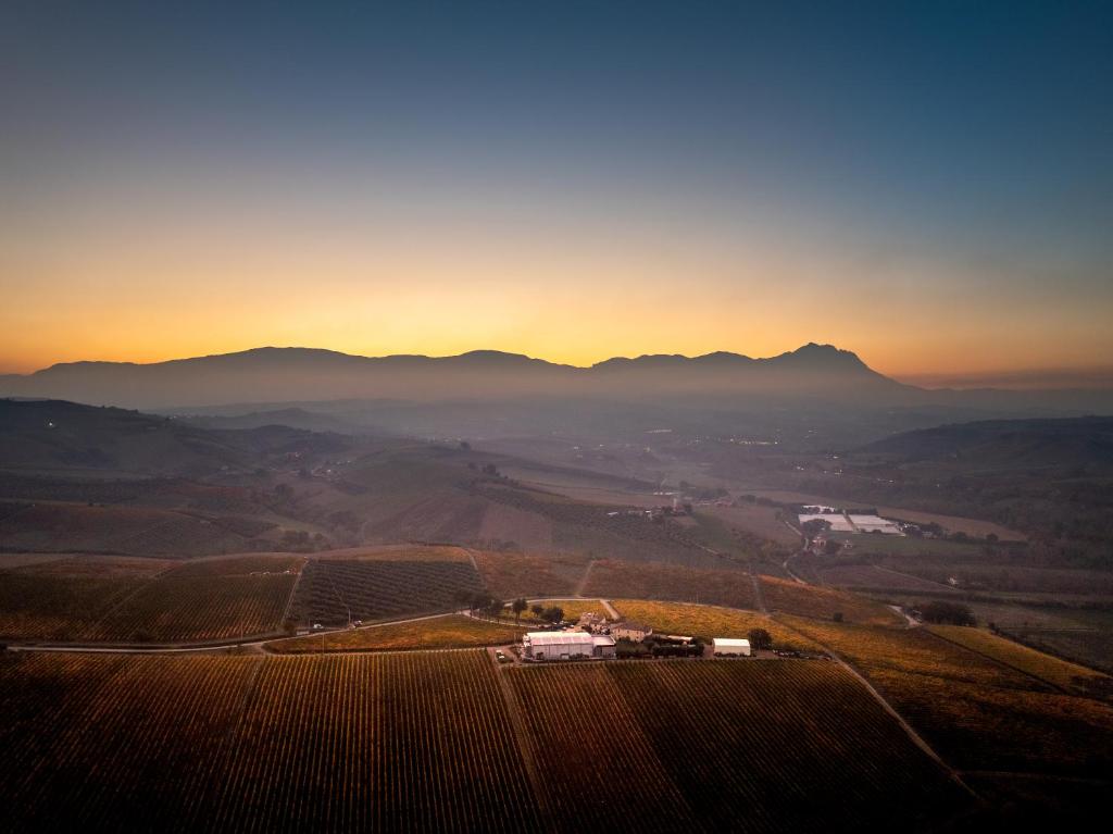 Masseria del Vino - Housity