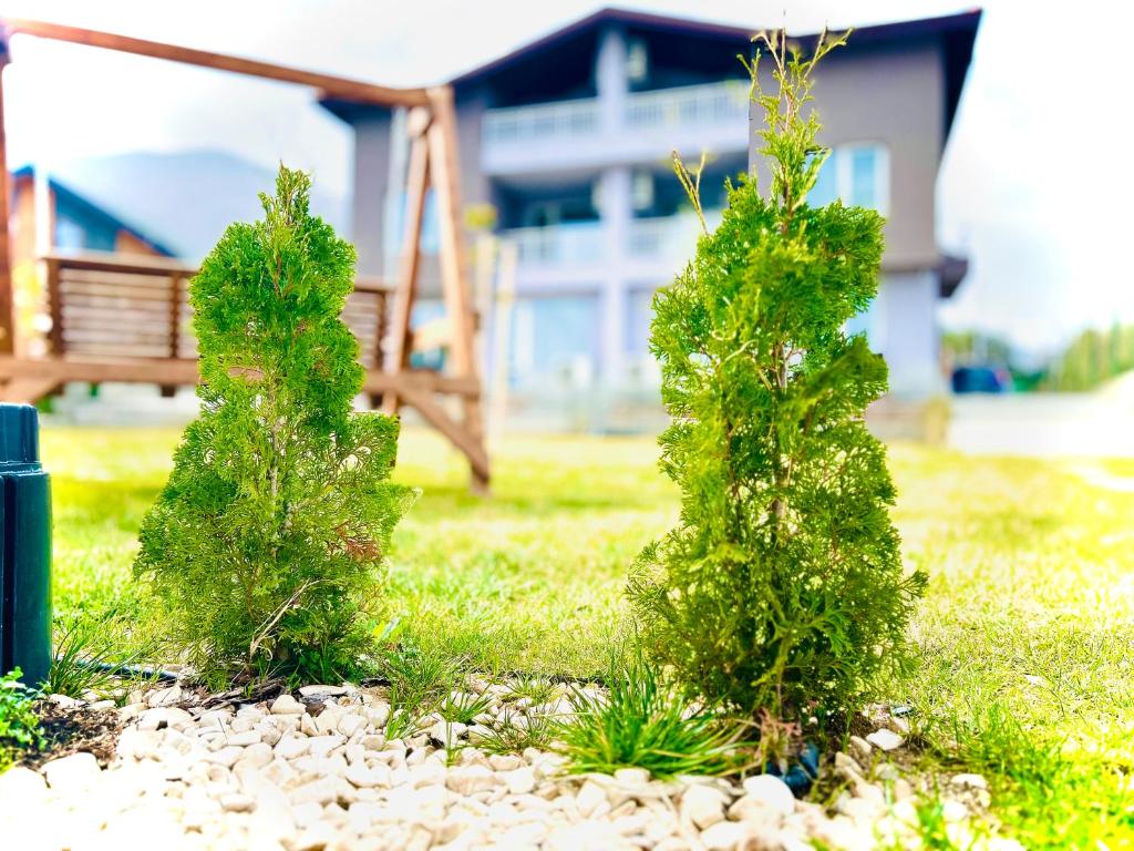 two trees in a yard with a bench in the background at Къща за гости Касида in Sapareva Banya