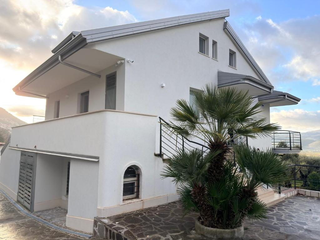 a white house with a palm tree in front of it at B&B Sant'Angelo Sala Consilina in Sala Consilina