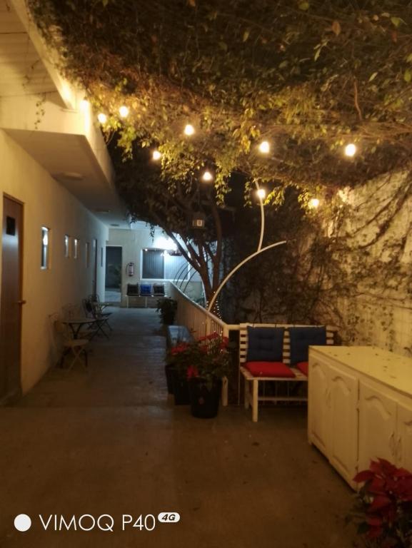 a hallway with a tree and a bench and lights at El Cubanito Cafe y hospedaje in León
