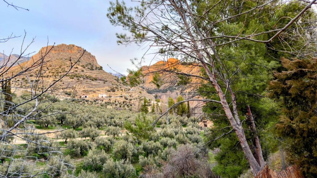 a view through the trees of a canyon with mountains at Casa Angel 3 in Castril