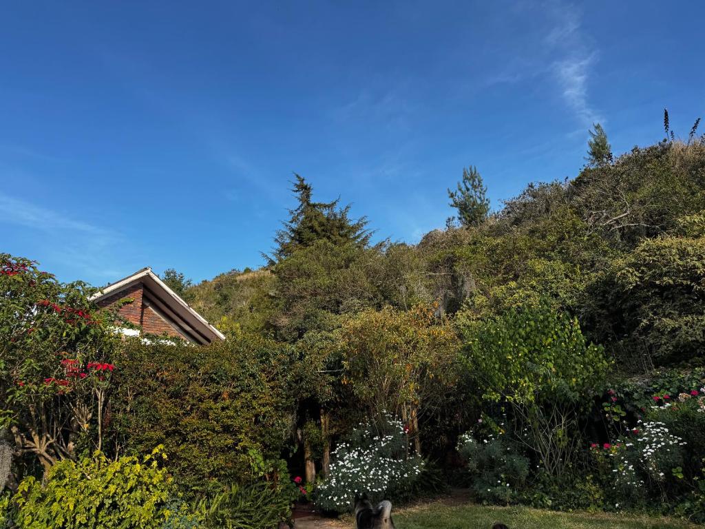 a garden with flowers and trees on a hill at Hotel Campestre los Duraznos in Cucunubá