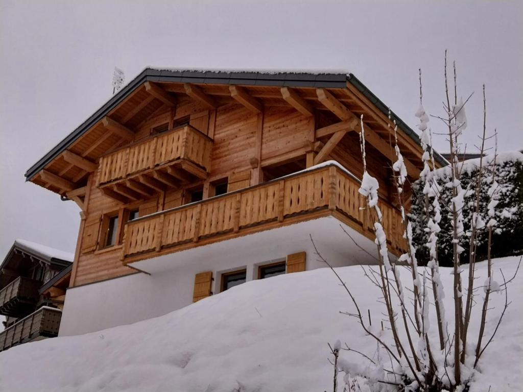 Chalet spacieux avec Wi-Fi et parking, animaux admis - FR-1-671-324