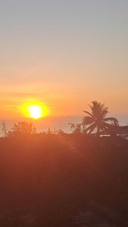 a sunset with a palm tree and the ocean at Hotel Hải Âu in Kỳ Trân (1)
