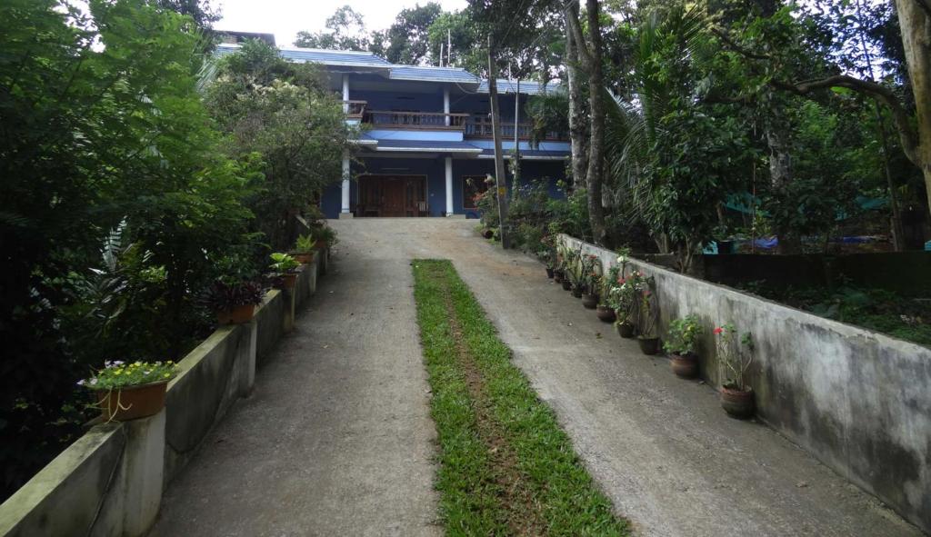 a path in front of a building with potted plants at Neema Homes in Thekkady