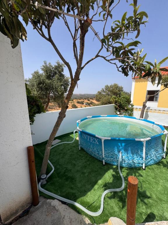 a hot tub in a yard next to a tree at Monte Vilão in Soudes