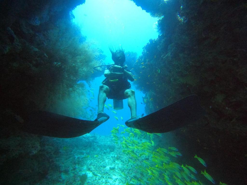 Island Scuba - View 12