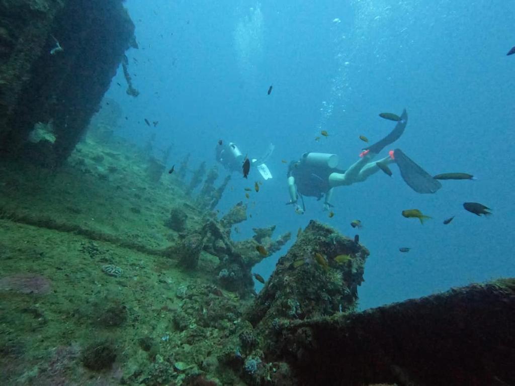 Island Scuba - View 21