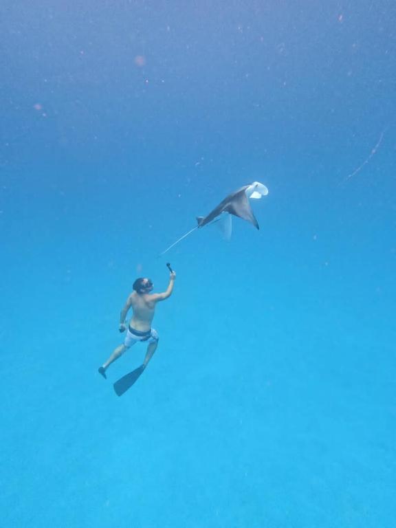 Island Scuba - View 22