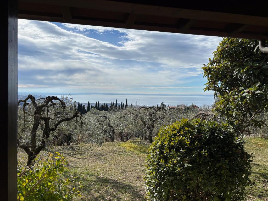 a view of a garden with trees in the distance at Villa Cà Bottura agli ulivi in Bardolino