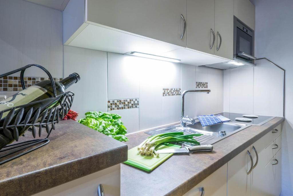Kuchyň nebo kuchyňský kout v ubytování Aparthotel Gallahaus