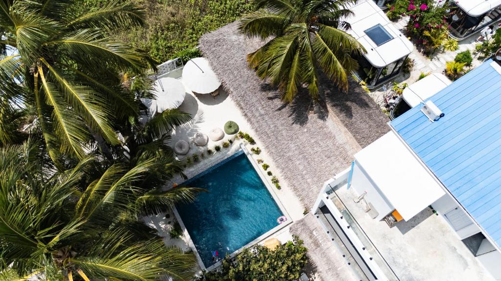 an overhead view of a swimming pool with palm trees at Belena Maldives in Thoddoo