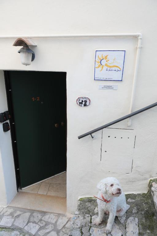 Lo splendore dei Sassi - 13