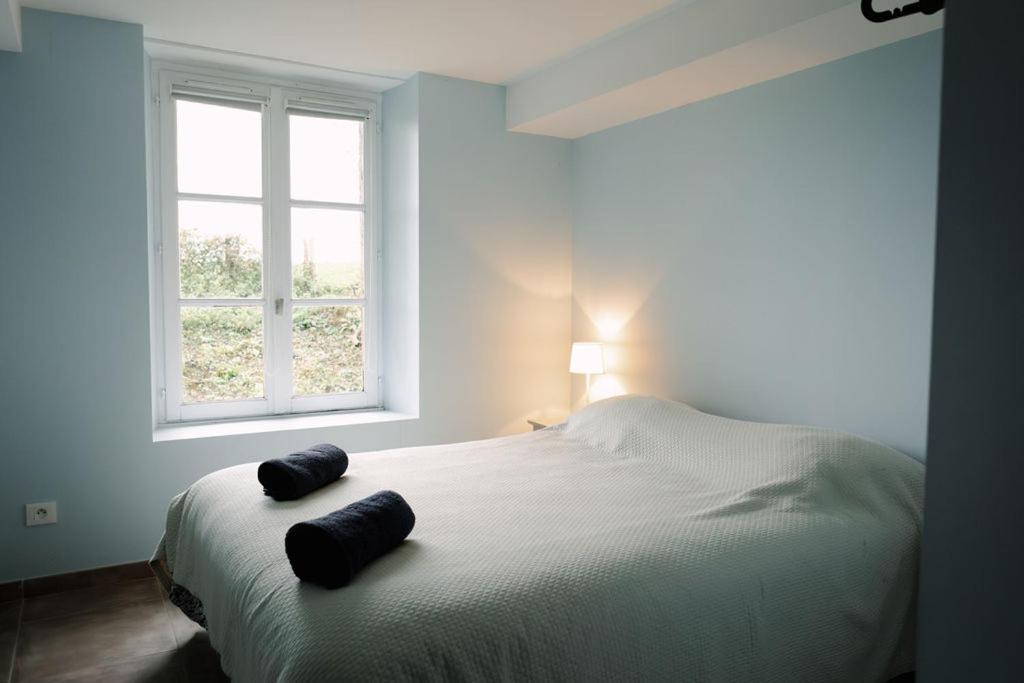 a bedroom with a bed with two pillows on it at La buanderie du château in Le Boulay