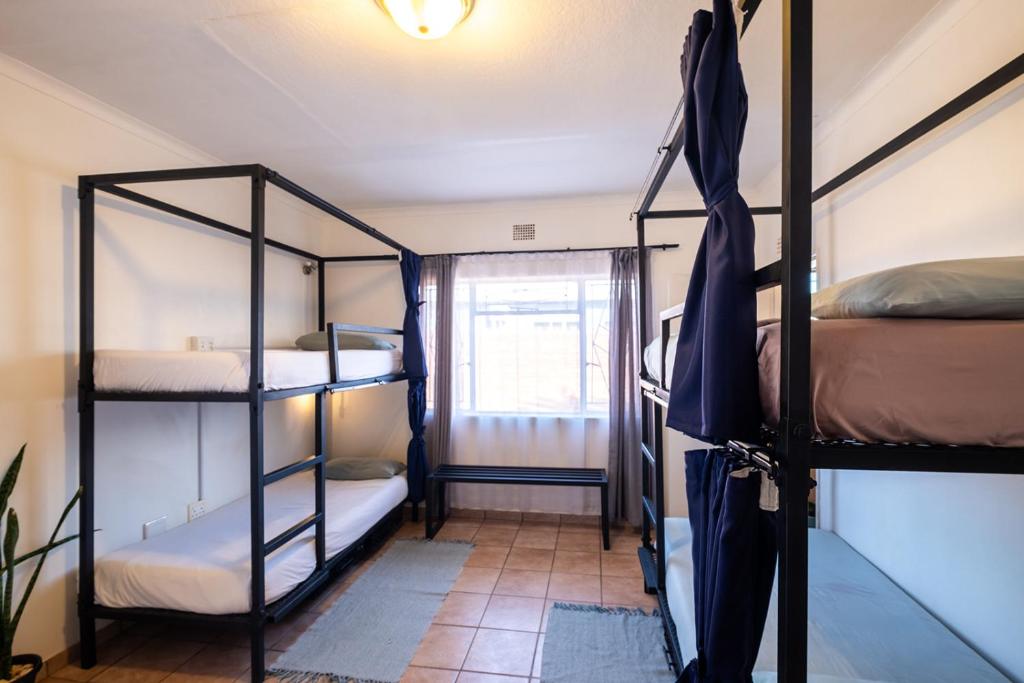 Kate's Nest Guesthouse & Backpackers - Stapelbed In Vrouwelijke Slaapzaal