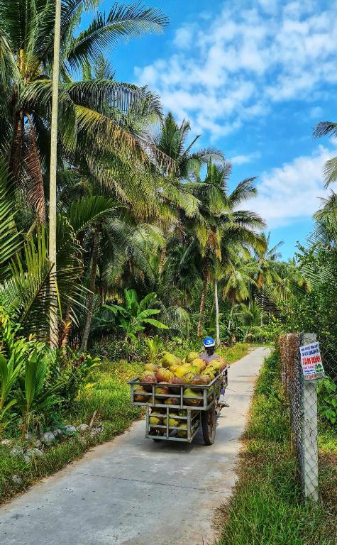 a cart full of fruit on the side of a road at Green Coconut Island in Ấp Thới Hòa (3)